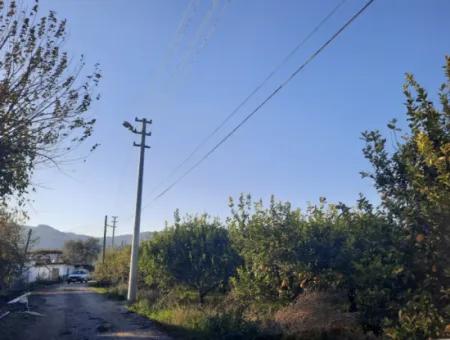 Mugla Ortaca Dalaklı 2000 M2 Land For Sale