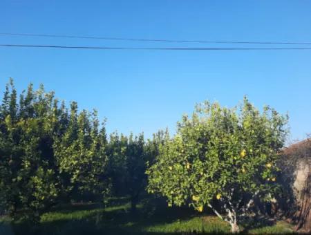 Mugla Ortaca Dalaklı 2000 M2 Land For Sale