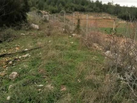 30949 M2 Fertile Field For Sale In Mugla Dalaman Gürleyik