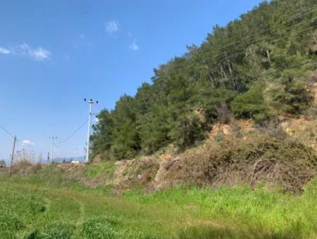 15220 M2 Field For Sale Between Ortaca Tepearasi