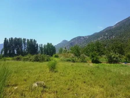 3700 M2 Land For Sale In Koycegiz