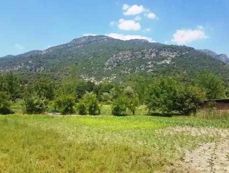 3700 M2 Land For Sale In Koycegiz