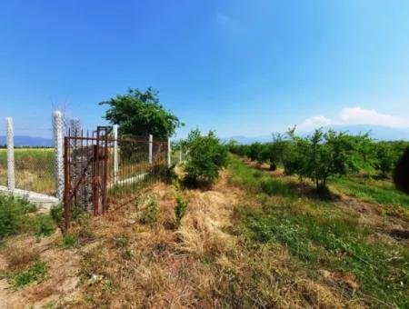 Muğla Ortaca Tepearası For Sale Kelepir Detached 22 250 Land