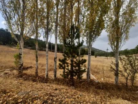 6 230 M2 Detached Land For Sale Or Exchange On The Old Acıpayam Road In Çameli Cumanda