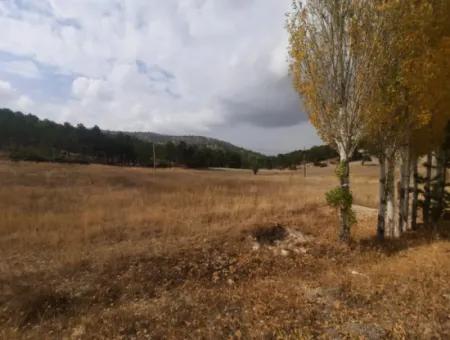 6 230 M2 Detached Land For Sale Or Exchange On The Old Acıpayam Road In Çameli Cumanda