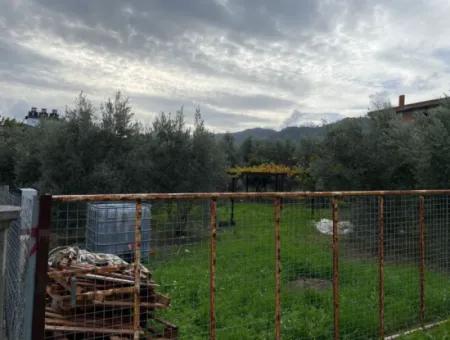 Muğla Ortaca Karaburun Mah 600 M2 Land For Sale