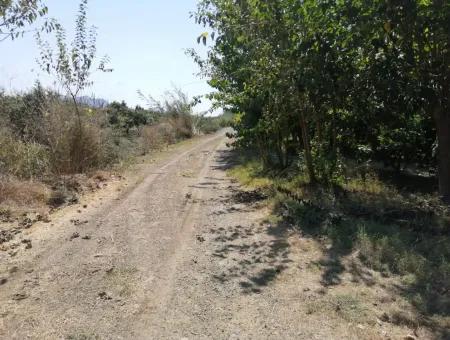 Pomegranate Garden For Sale In Mugla Ortaca Tepearasi