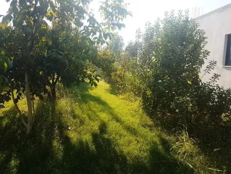 Bargain Plot For Sale In Beyoba