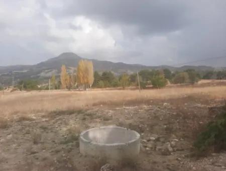 6 230 M2 Fertile Land For Rent In Çameli Cumaalanı