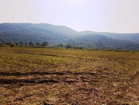 Region Of Fertile Land Rental