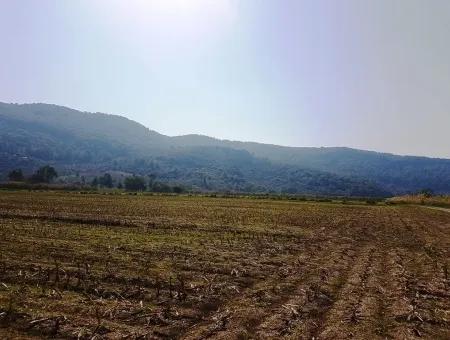 Region Of Fertile Land Rental