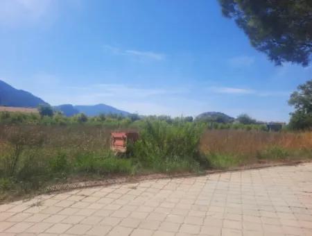 1000 M2 Land For Rent On The Street In Ortaca Dalyan Neighborhood