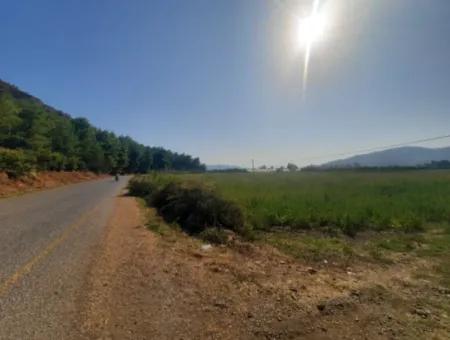 16.373 M2 Fertile Land For Sale In Muğla Ortaca Ekşiliyurt