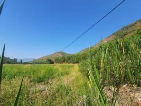 16.373 M2 Fertile Land For Sale In Muğla Ortaca Ekşiliyurt