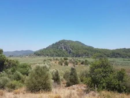 14.300 M² Land Suitable For Investment In Ortaca Sarıgerme, Muğla