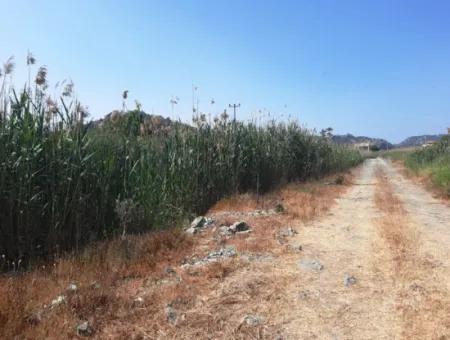 14.300 M² Land Suitable For Investment In Ortaca Sarıgerme, Muğla