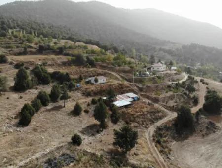 5 000 M2 Land In Çameli Kızılyaka 2 In 1 Detached House, And Barn For Rent