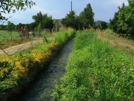 Farm For Sale In Köyceğiz Beyoba Bargain