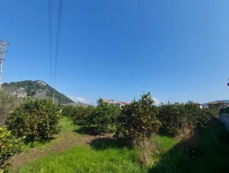 722 M2 Zoned Detached Land For Sale In Dalyan, Muğla