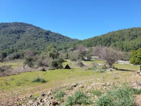 2 400 M2 Field For Sale In Muğla Ortaca Gökbelde Nature