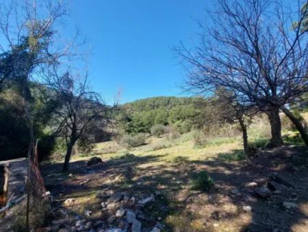 2 400 M2 Field For Sale In Muğla Ortaca Gökbelde Nature