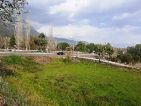 Köyceğiz Yangida Main Road Zero Investment Suitable Bargain Land For Sale