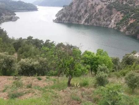 Farmland For Sale In Dalaman Bozbel Also With Views Of The Lake Dam