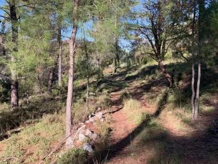 Investment Gocek Land For Sale Suitable For Te