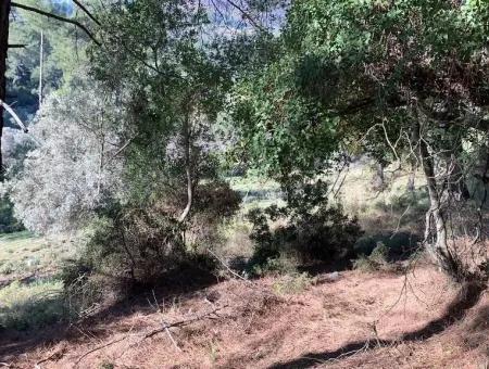 Investment Gocek Land For Sale Suitable For Te