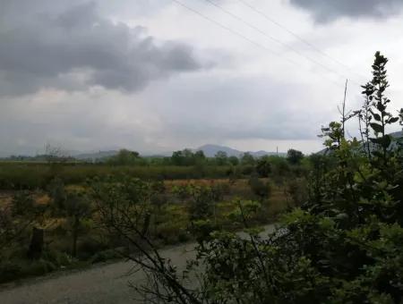 Güzelyurt For Sale Landscaped Gardens Pomegranate Ta