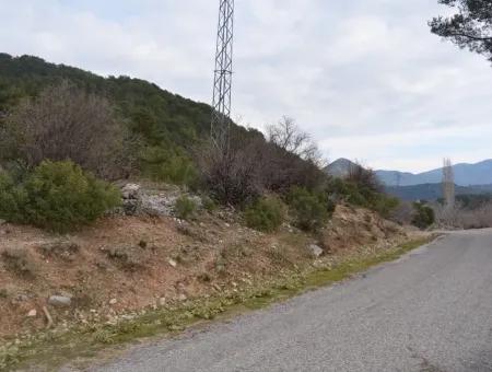 For Sale Bargain Land In Fethiye Ta Sty