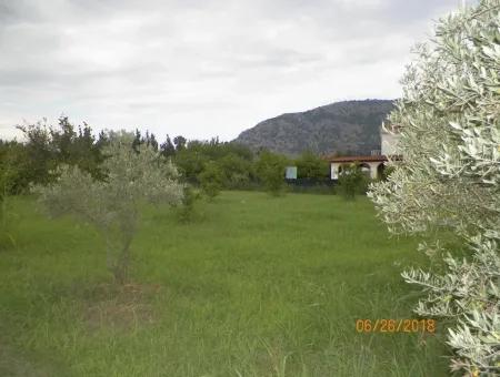 Land For Sale In Dalyan, Property For Sale Bargain