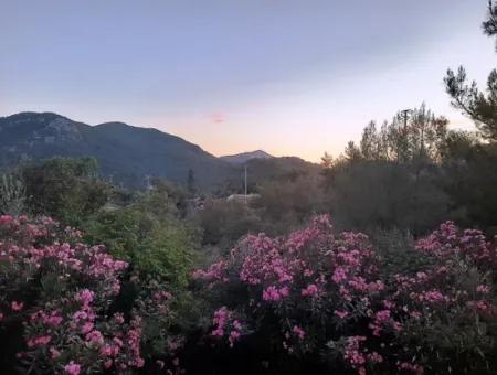 238 M2 Hobby Garden Land With Detached Title Deed For Sale In Muğla Ortaca Gökbel