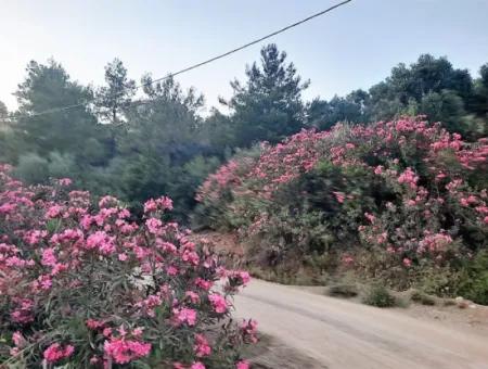 238 M2 Hobby Garden Land With Detached Title Deed For Sale In Muğla Ortaca Gökbel
