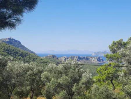 Ortaca Gökbelde Lake And Sea View Detached Title Deed For Sale 650M2 Land For Sale