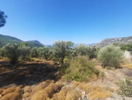 Ortaca Gökbelde Lake And Sea View Detached Title Deed For Sale 650M2 Land For Sale