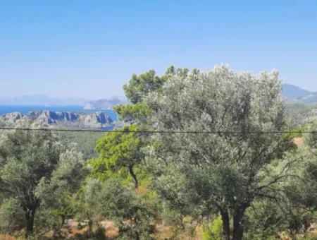 Ortaca Gökbelde Lake And Sea View Detached Title Deed For Sale 650M2 Land For Sale