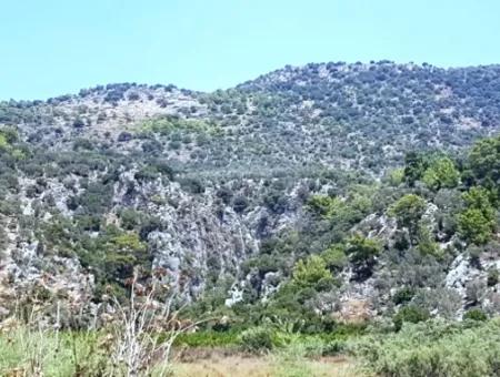 74,000 M2 Sea View Land For Sale In Dalaman Kapıkargın