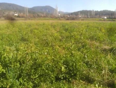 Land For Sale In Bargain Detached Zeytinalani