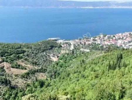 7.534 M² Sea View Investment Opportunity Detached Land For Sale In Kocaeli Ereğli