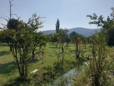 2.500 M² Detached Title Deed Investment Land For Sale In Ortaca Kemaliye