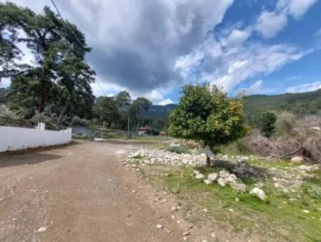 1 000 M2 Land For Sale In Muğla Köyceğiz Çandır Center