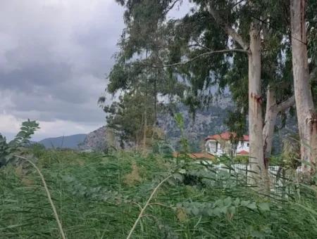 5.000 M2 Land With 150 M2 Construction Right Is For Sale In Muğla Dalyan
