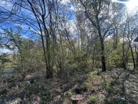 12 000 M2 Field For Sale In Ortaca Yeşilyurt