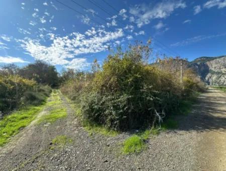 12 000 M2 Field For Sale In Ortaca Yeşilyurt