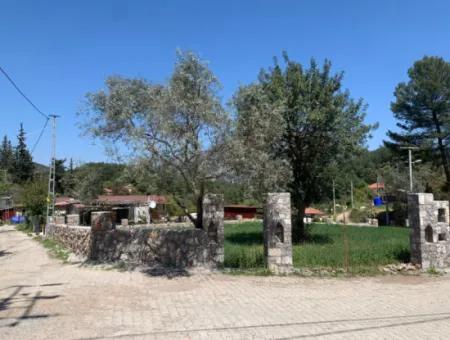 Dalyan Gökbelde 678 M2 Share For Sale