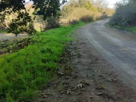 Bargain 6 000 M2 Land For Sale In Muğla Ula Karabörtlende