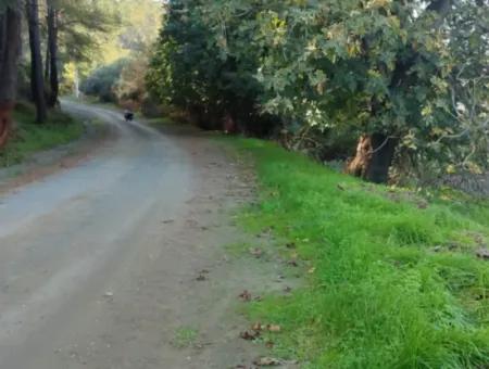 Bargain 6 000 M2 Land For Sale In Muğla Ula Karabörtlende
