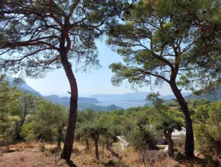 Detached 762 M2 Land Suitable For Investment With Nature And Sea Views In Muğla Ortaca Gökbel Is For Sale
