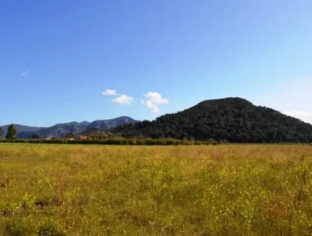 Farm For Sale Bargain In Dalyan